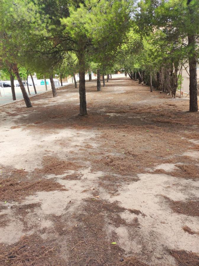 Apartamento Completo, Mascotas Aceptadas Arenales del Sol Bagian luar foto