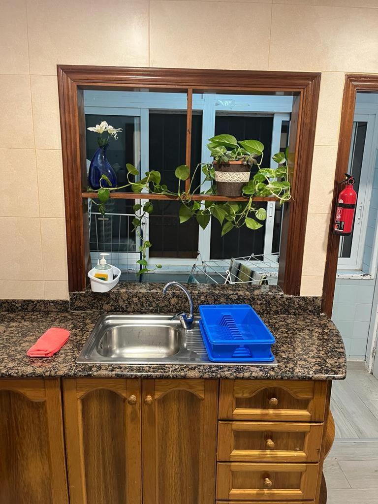 Apartamento Completo, Mascotas Aceptadas Arenales del Sol Bagian luar foto